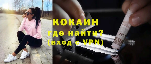 МДПВ Богородск