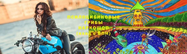 гидра Богданович