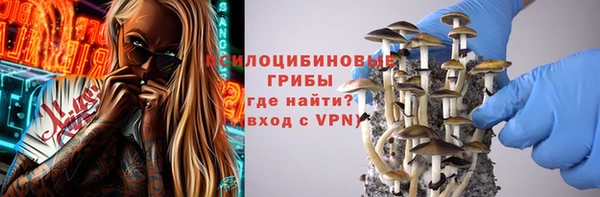 apvp Бугульма